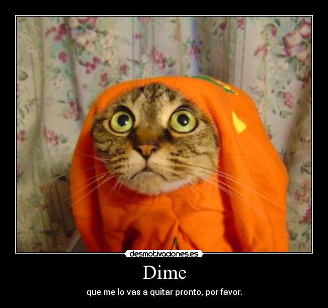 Dime - que me lo vas a quitar pronto, por favor.