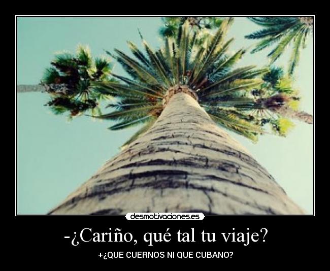 -¿Cariño, qué tal tu viaje? - +¿QUE CUERNOS NI QUE CUBANO?