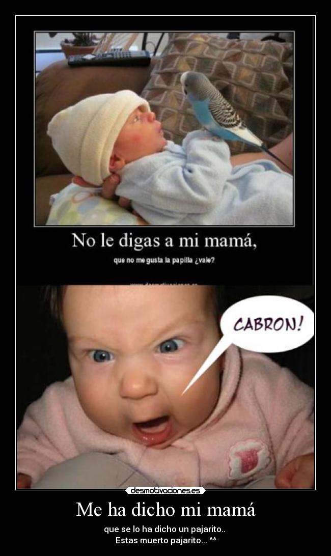 Me ha dicho mi mamá -