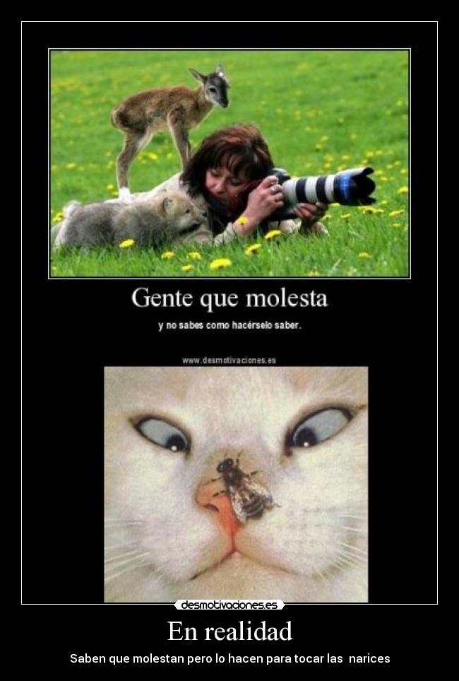 En realidad -
