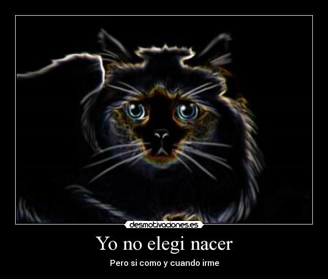 Yo no elegi nacer - Pero si como y cuando irme