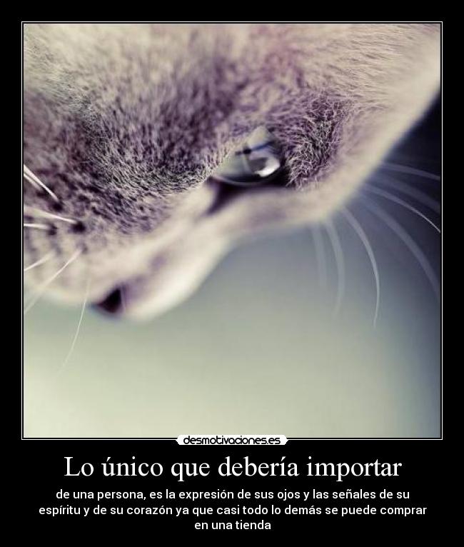 Lo único que debería importar - 