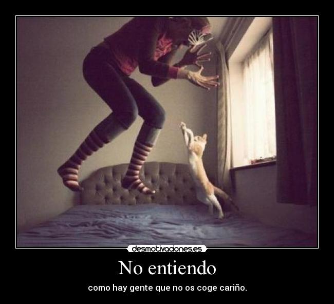 No entiendo -
