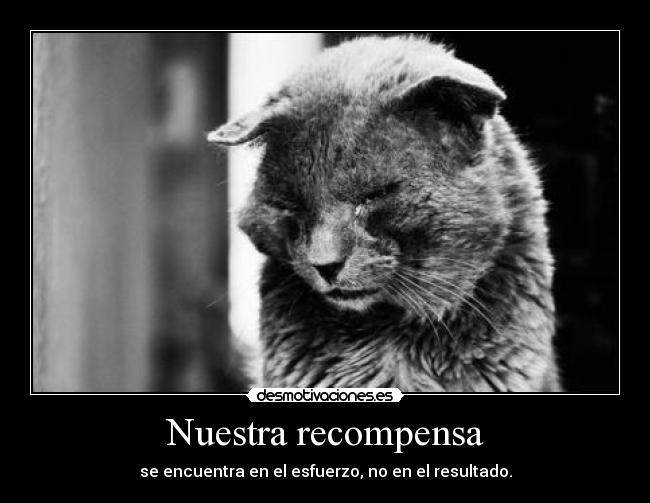 Nuestra recompensa - se encuentra en el esfuerzo, no en el resultado.