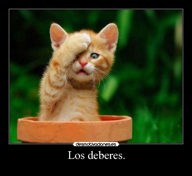 Los deberes. - 