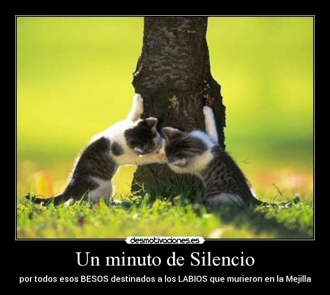 Un minuto de Silencio -