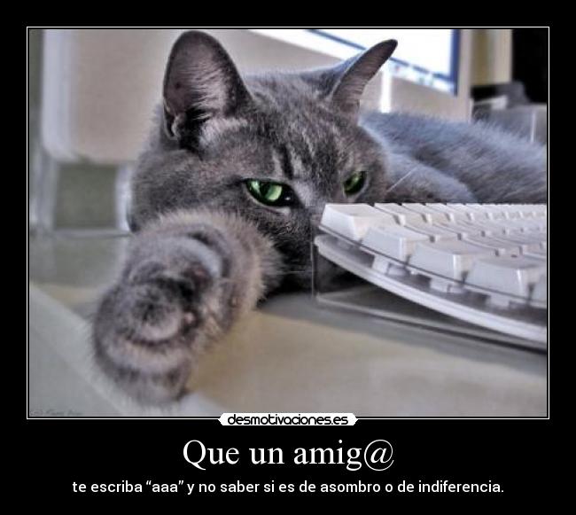 Que un amig@ -