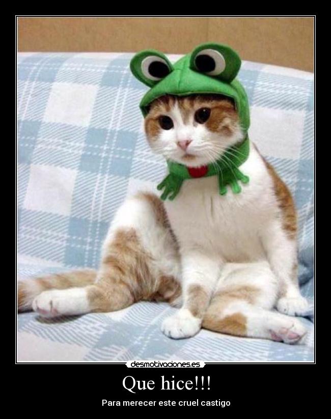 Que hice!!! - Para merecer este cruel castigo