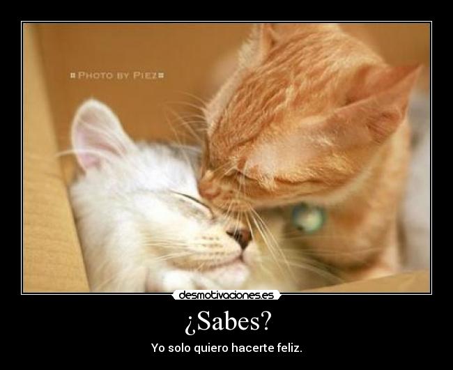¿Sabes? - 