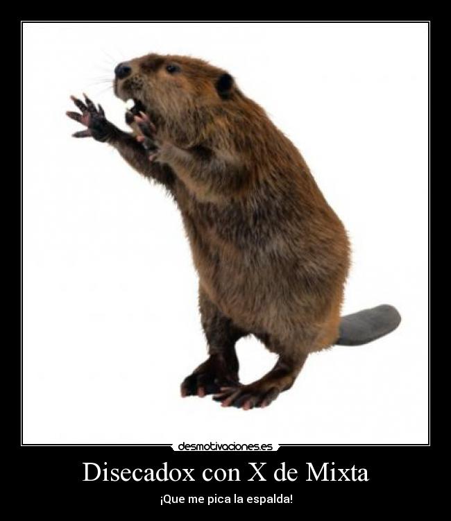Disecadox con X de Mixta - ¡Que me pica la espalda!