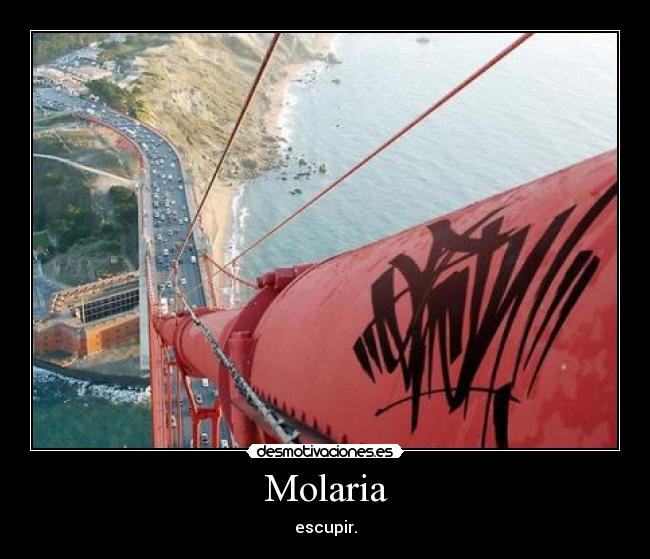 Molaria - 