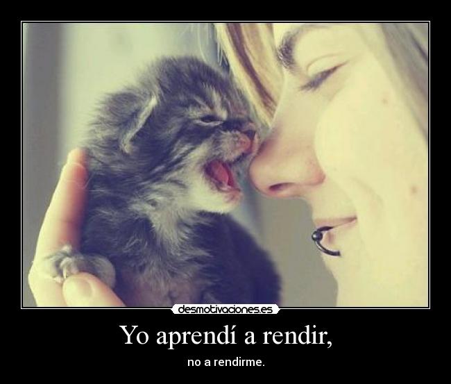 Yo aprendí a rendir, -