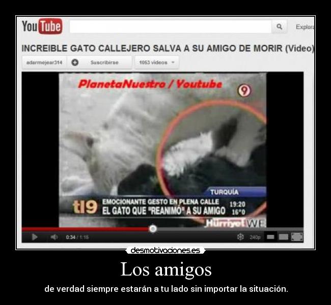 Los amigos -