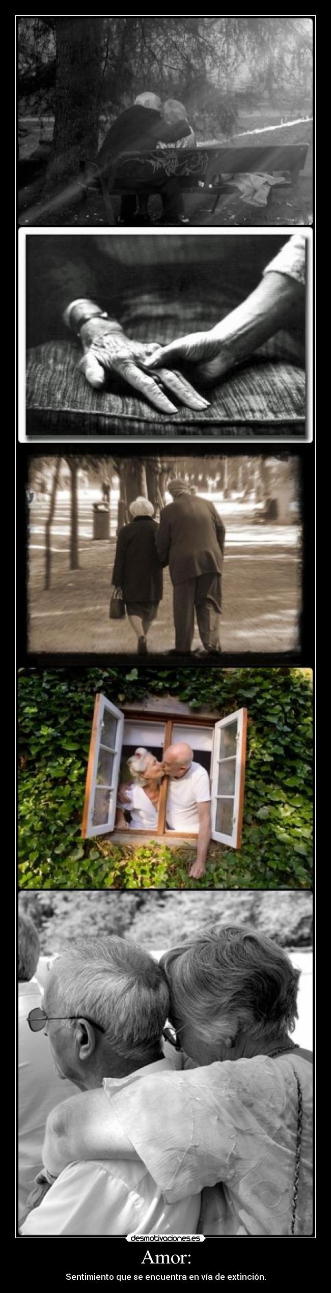 Amor: - Sentimiento que se encuentra en vía de extinción.