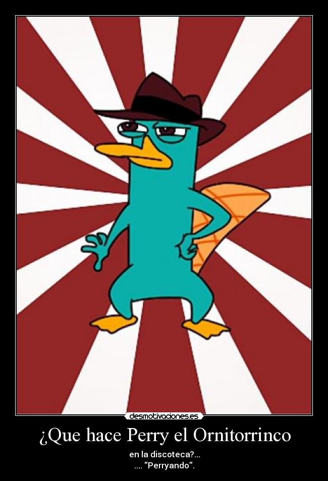 ¿Que hace Perry el Ornitorrinco - en la discoteca?...
.... Perryando.
