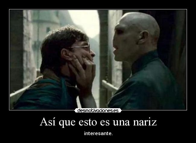 Así que esto es una nariz - interesante.