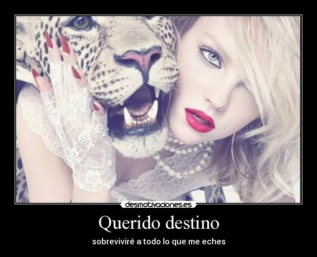 Querido destino - sobreviviré a todo lo que me eches