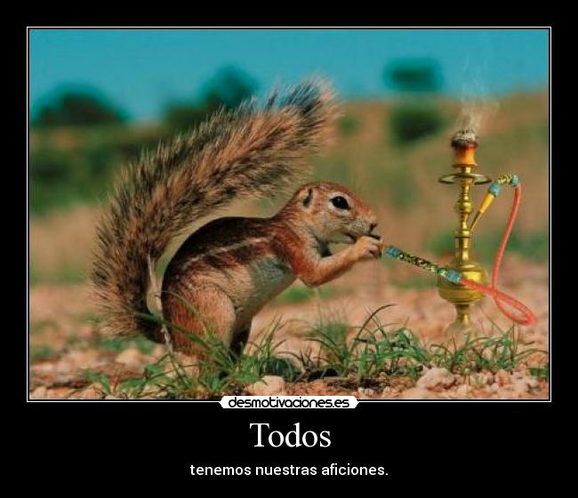 carteles jonatan96 desmotivaciones