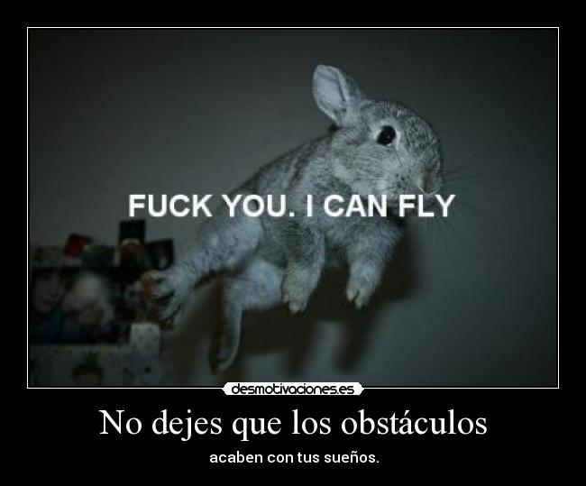 No dejes que los obstáculos - 
