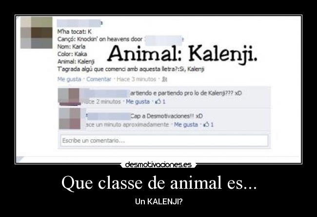 Que classe de animal es... - Un KALENJI?