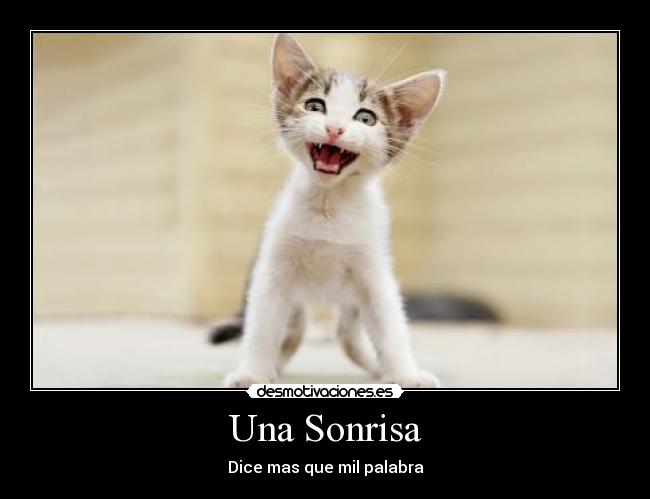 Una Sonrisa -