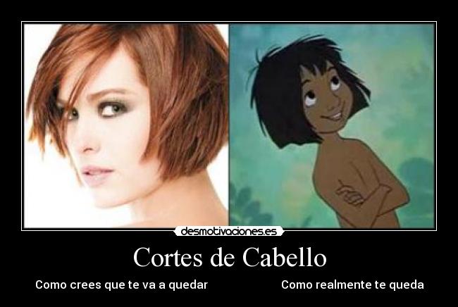 carteles luphemedranno desmotivaciones