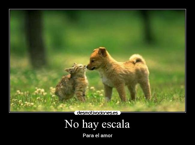 No hay escala - Para el amor