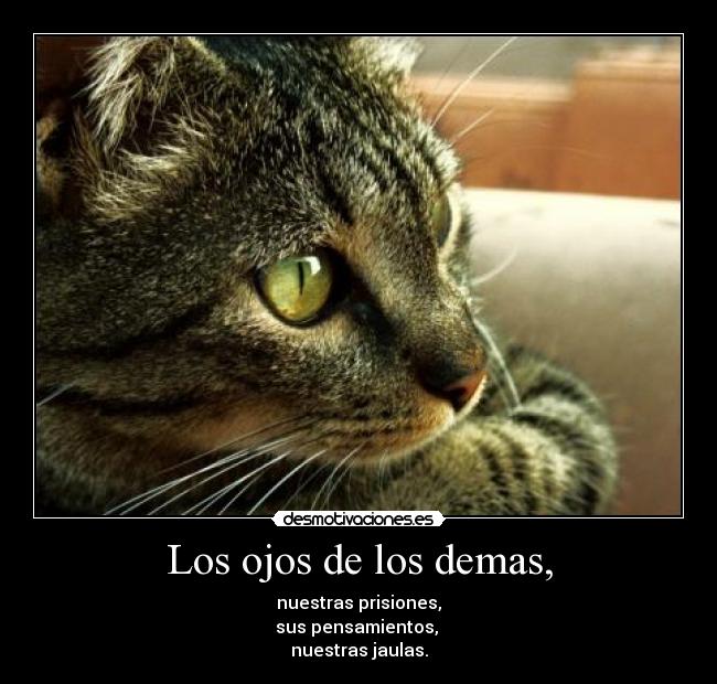 carteles thinking cat desmotivaciones