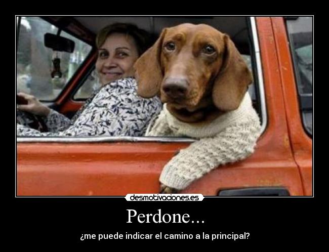Perdone... - ¿me puede indicar el camino a la principal?