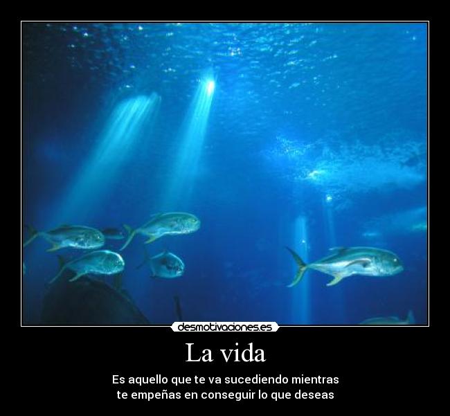 La vida -