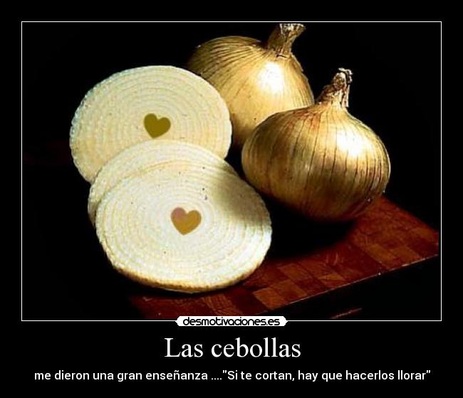 Las cebollas - 