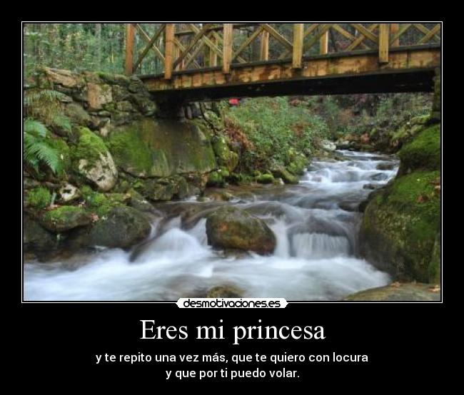 Eres mi princesa - y te repito una vez más, que te quiero con locura
y que por ti puedo volar.