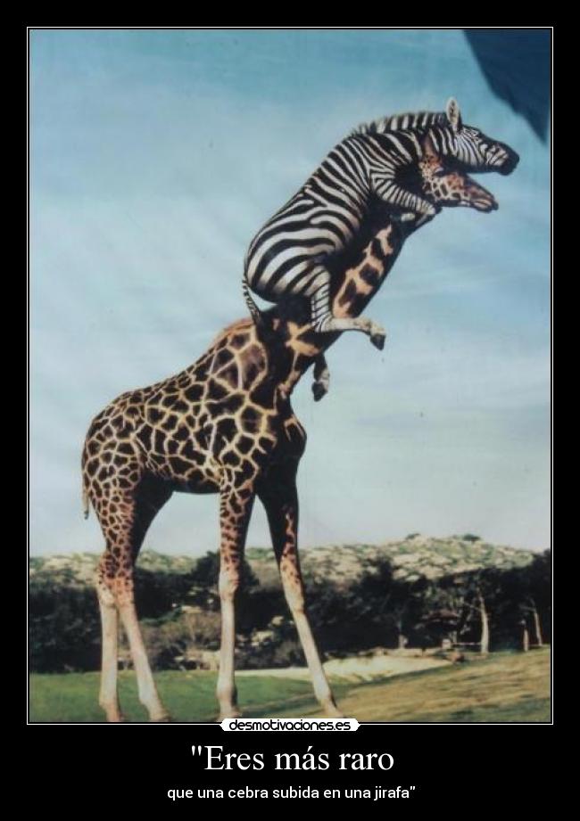 Eres más raro -