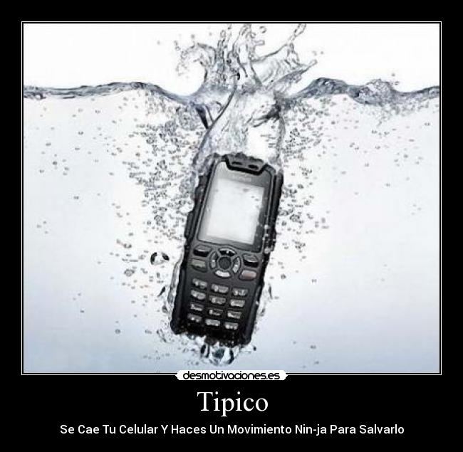 Tipico -