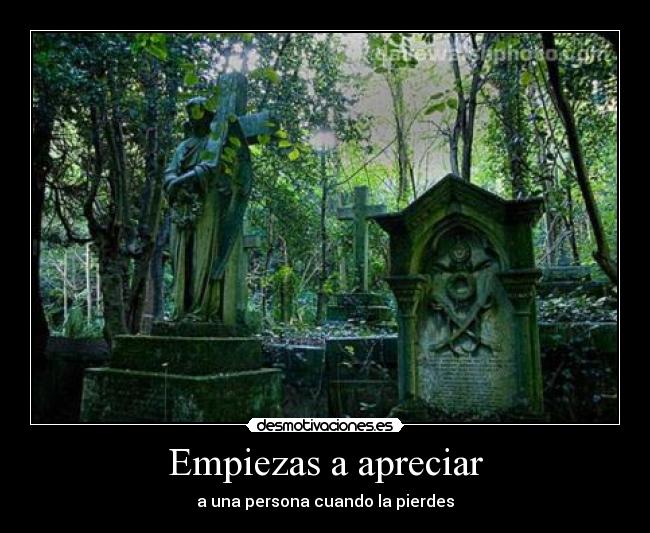 Empiezas a apreciar - a una persona cuando la pierdes