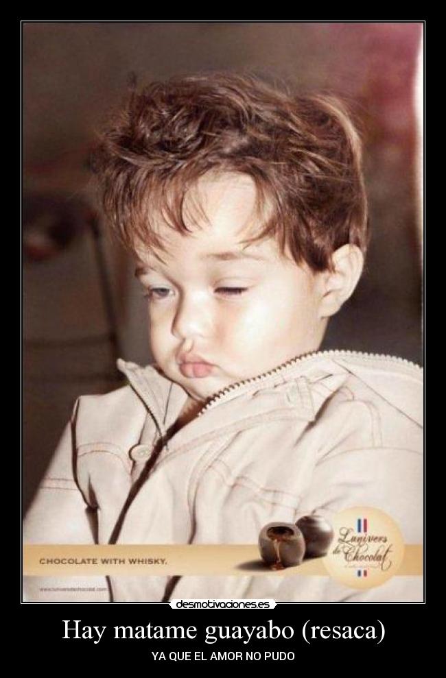 carteles resaca desmotivaciones