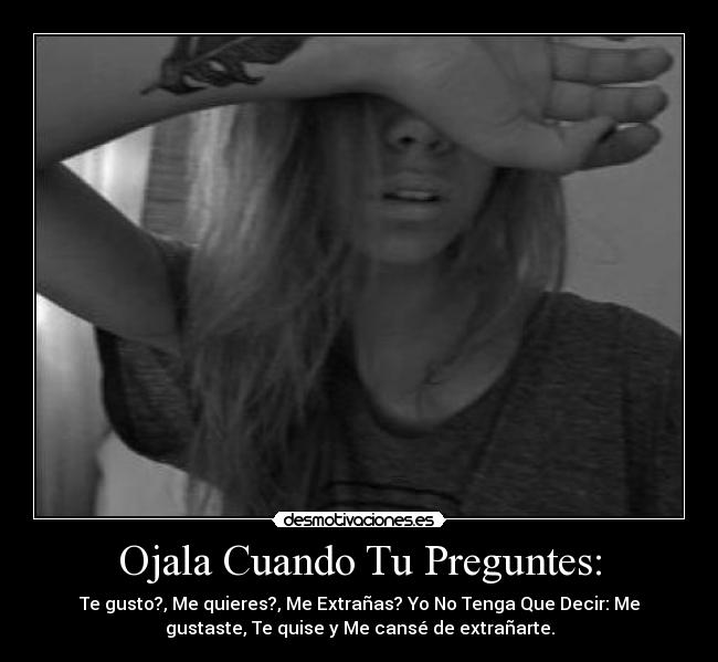 carteles gustaste desmotivaciones