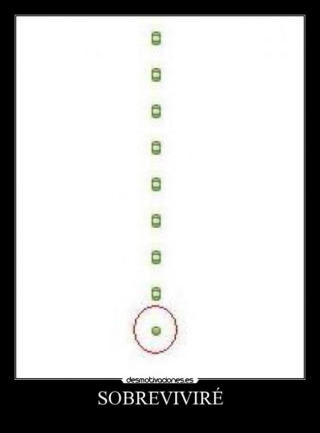 SOBREVIVIRÉ -