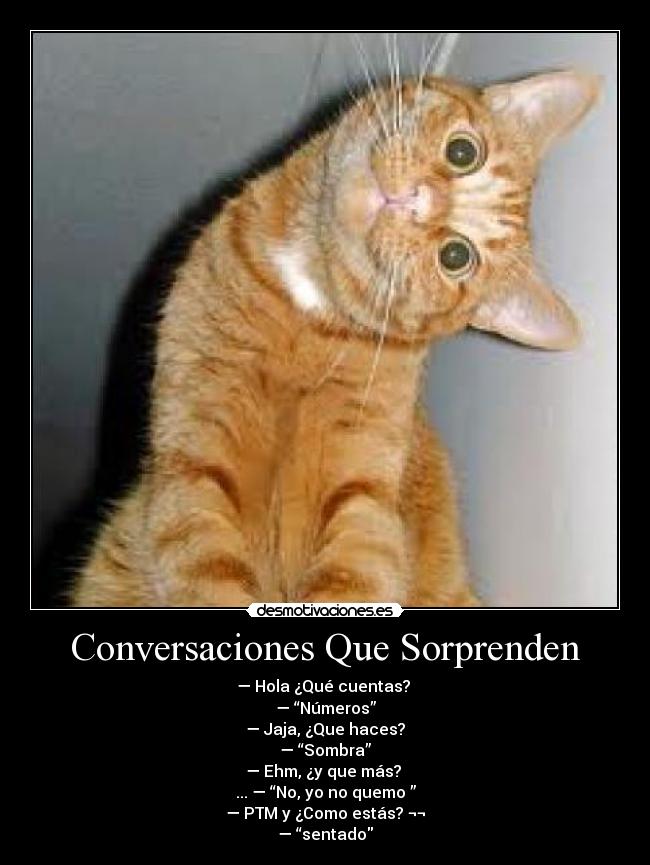 Conversaciones Que Sorprenden - — Hola ¿Qué cuentas?
— “Números”
— Jaja, ¿Que haces?
— “Sombra”
— Ehm, ¿y que más?
... — “No, yo no quemo ”
— PTM y ¿Como estás? ¬¬
— “sentado