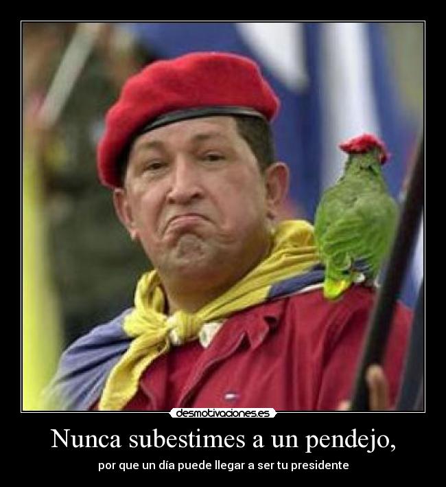 Nunca subestimes a un pendejo, -