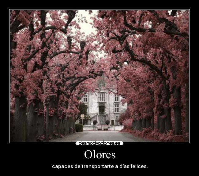 Olores - capaces de transportarte a días felices.