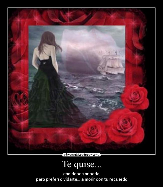 Te quise... -