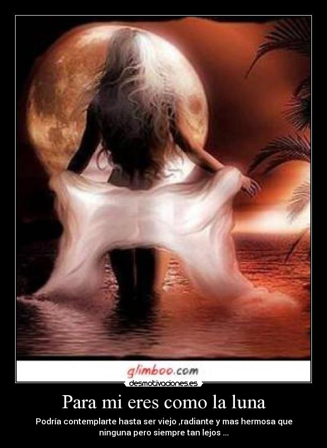 carteles lpda desmotivaciones