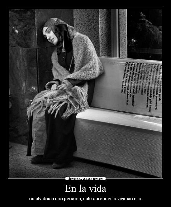 En la vida - 