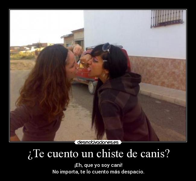 ¿Te cuento un chiste de canis? - ¡Eh, que yo soy cani!
No importa, te lo cuento más despacio.