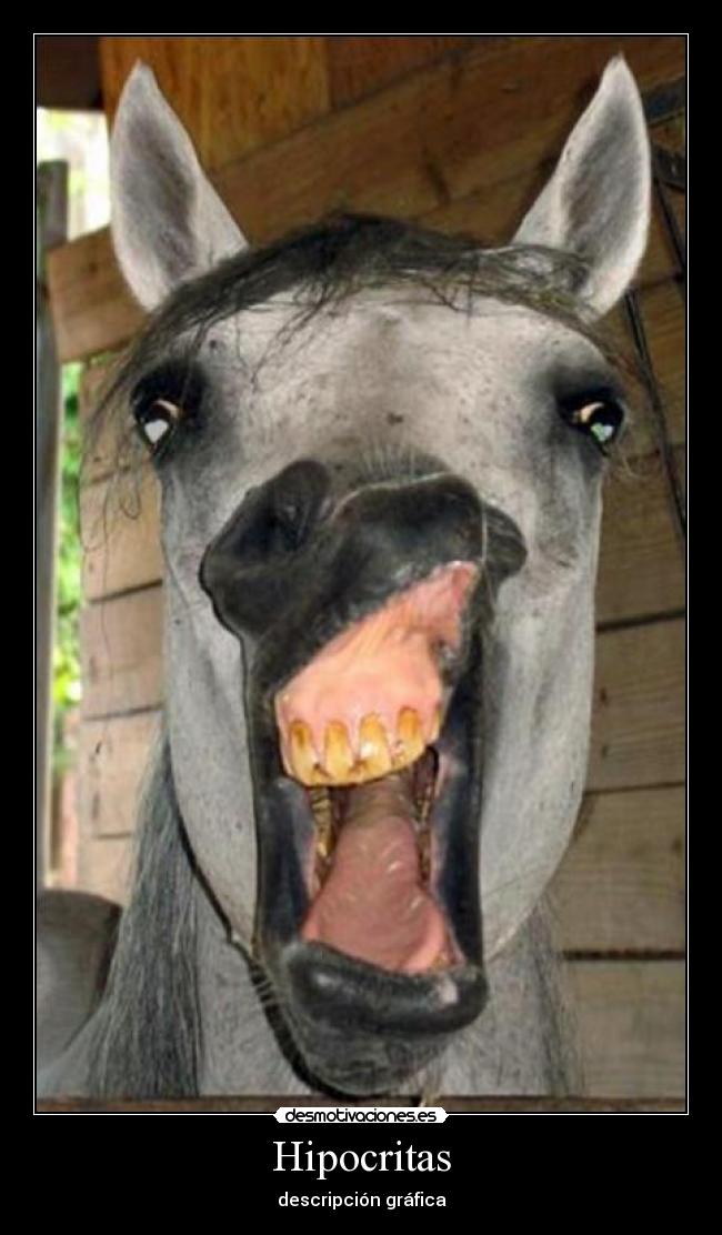 Hipocritas - descripción gráfica