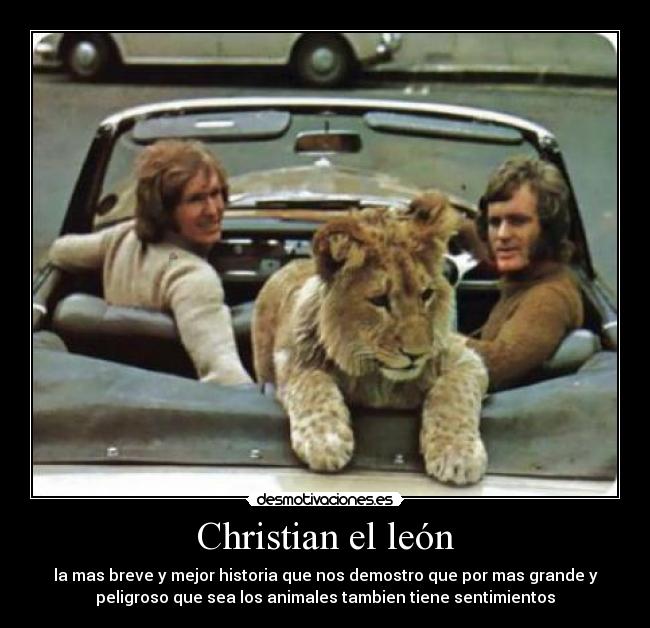 Christian el león - la mas breve y mejor historia que nos demostro que por mas grande y
peligroso que sea los animales tambien tiene sentimientos