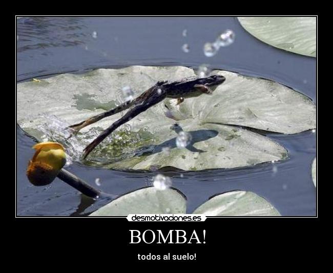 BOMBA! - 