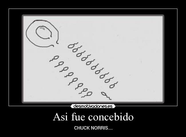Asi fue concebido -