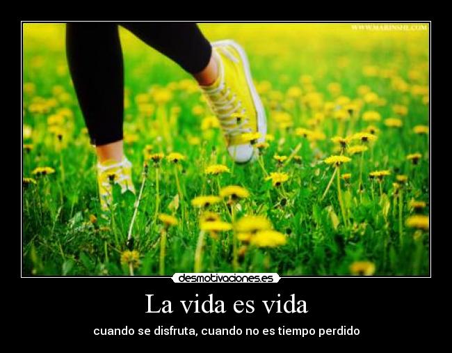 La vida es vida - cuando se disfruta, cuando no es tiempo perdido